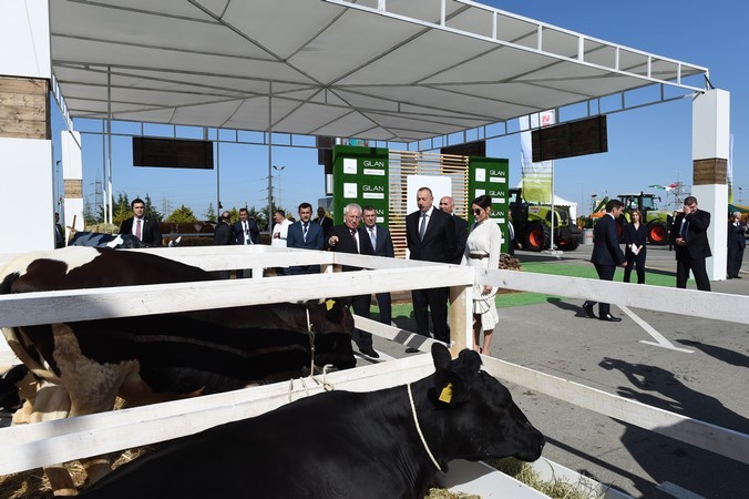 Официальный визит президента